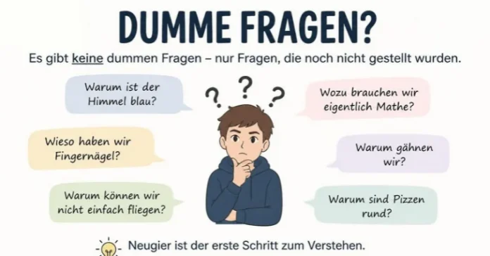 Dumme Fragen Dumme Fragen